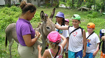 st-lucia-family-holidays